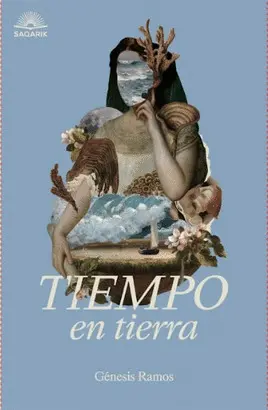 TIEMPO EN TIERRA