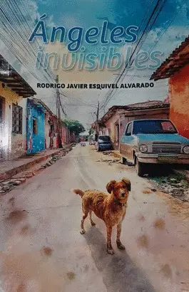 ÁNGELES INVISIBLES