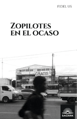ZOPILOTES EN EL OCASO