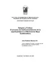 RELIGION Y POLITICA : EL PROCESO DE INSTITUCIONALIZACION DE LA ESPIRITUALIDAD EN EL MOVIMIENTO MAYA
