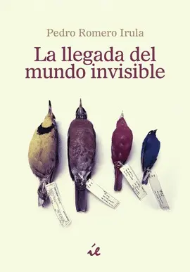 La Llegada del Mundo Invisible