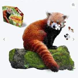 I Am Lil' Red Panda 100 Rompecabezas