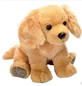 Ck Golden Retriever