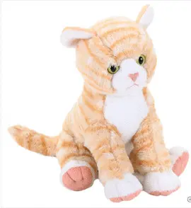 Ck Orange Tabby Cat