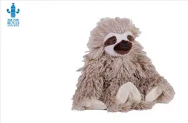 Ck-Eco-Mini Three Toed Sloth