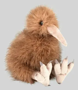 Ck-Eco Kiwi
