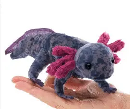 Axolotl Black