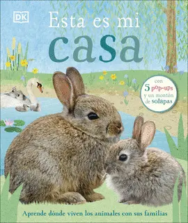 Esta Es mi Casa
