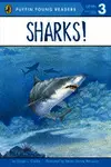 Sharks!