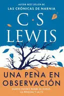 Una Pena en Observación