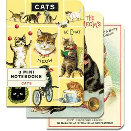Cats 3 Mini Notebooks