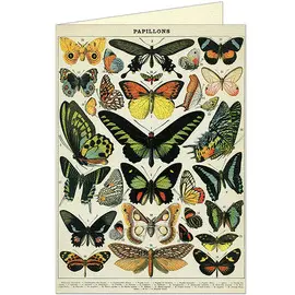 Gc/Btr Butterflies Greeting Card