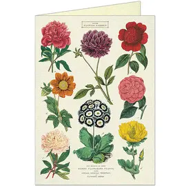 Botanica Greeting Card & Envelope