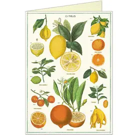 Citrus Greeting Card & Envelope