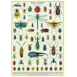 Wrap/Bug Bugs & Insects Wrap