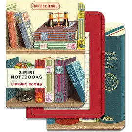 Library Books 3 Mini Notebooks