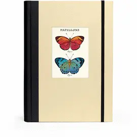 Butterflies Window Journal