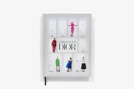 Dior Hightlight