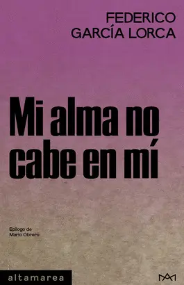 Mi Alma no Cabe en mí