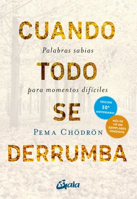 Cuando Todo se Derrumba