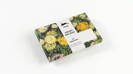 Vincent Van Gogh Envelopes - Sobres